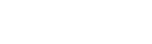Brain Experience